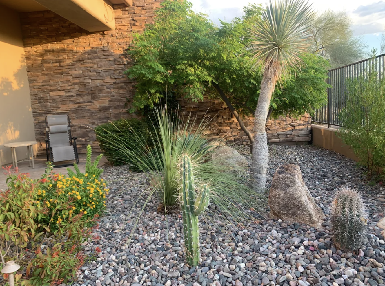 A person showing off their xeriscaped garden, including cacti and other native plants