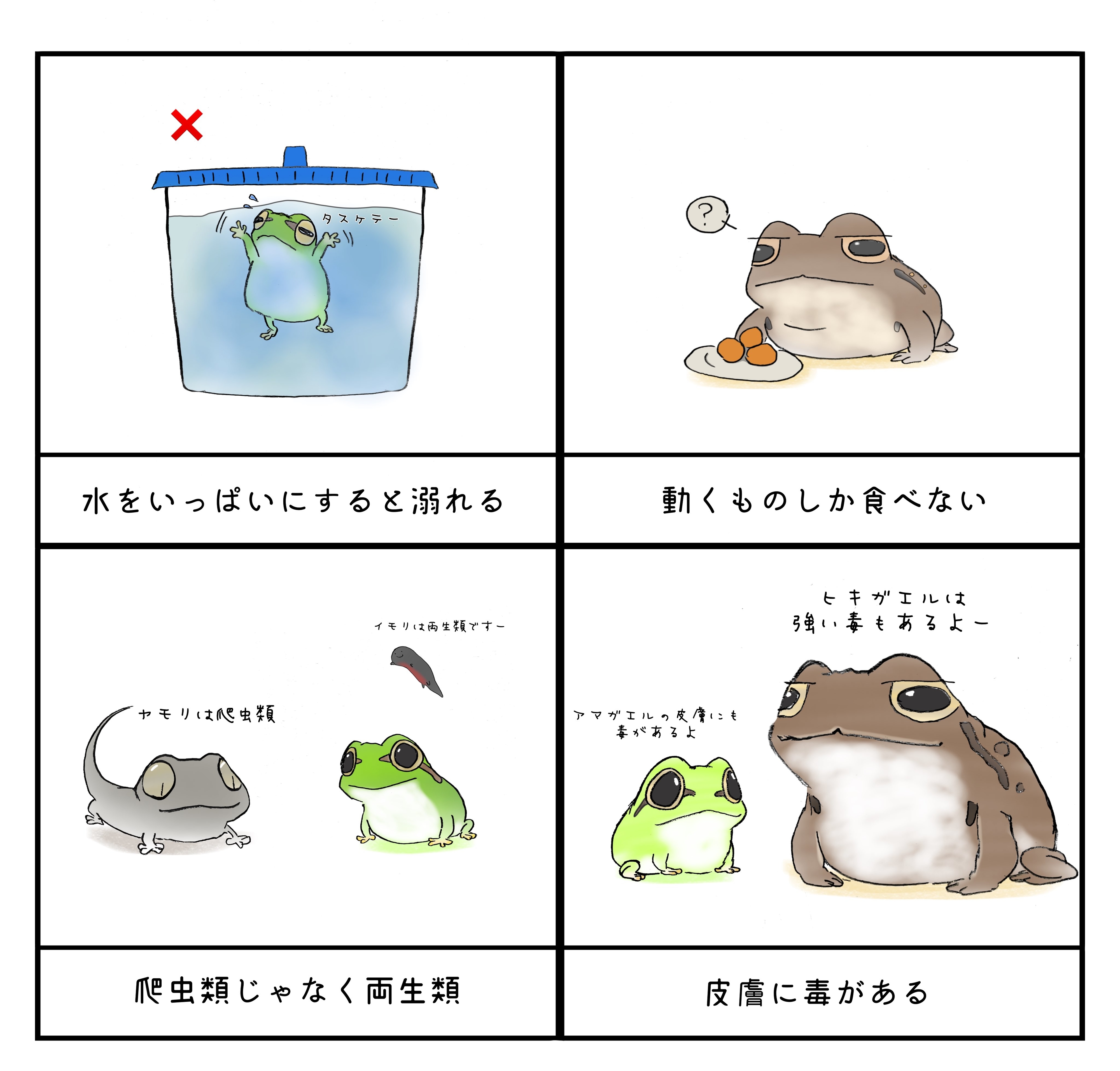 実は脱皮する」「◯◯から水を飲む」…意外と知らないカエルの豆知識を