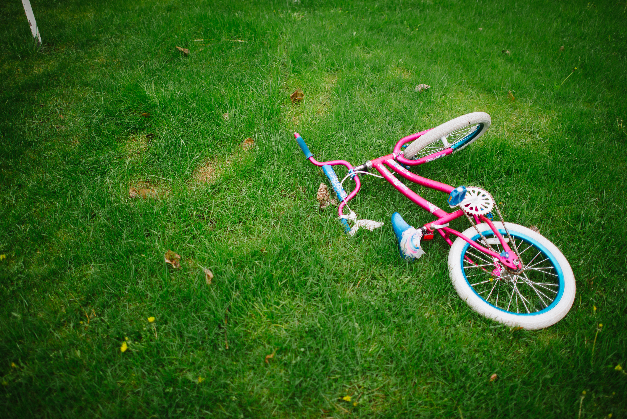 Child's bicycle lying on grass
