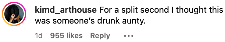 comment reads, for a split second i thought this was someone&#x27;s drunk aunty