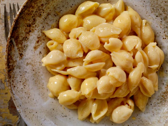 A plate of plain cooked shell pasta