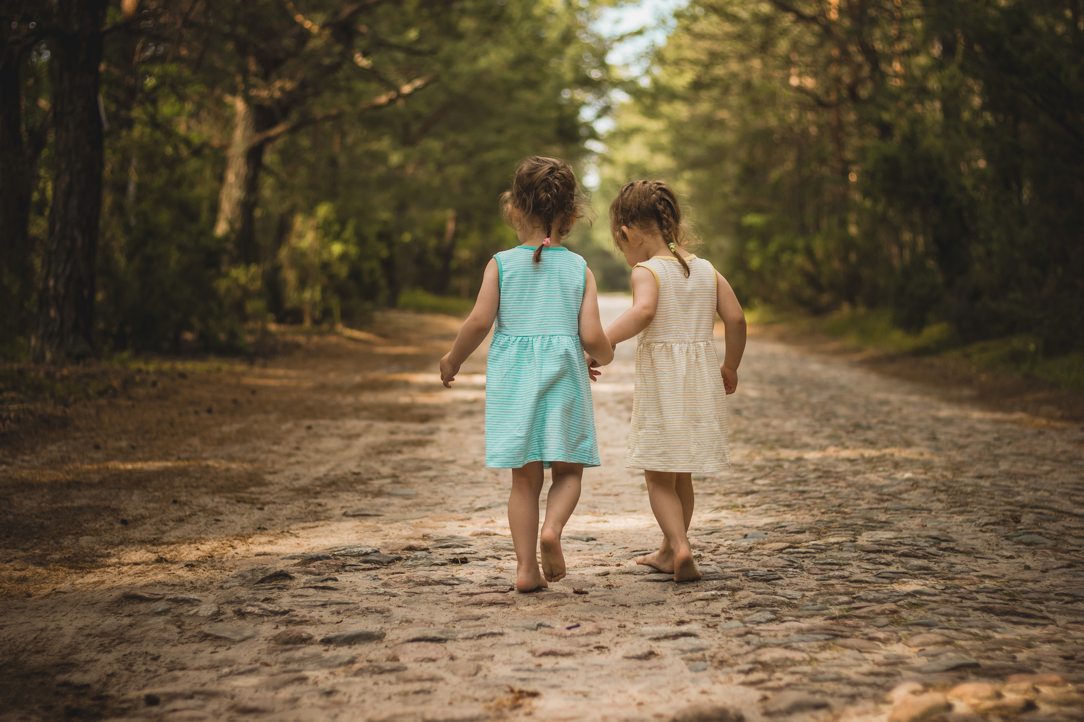 Two young children holding hands and walking on a forest path
