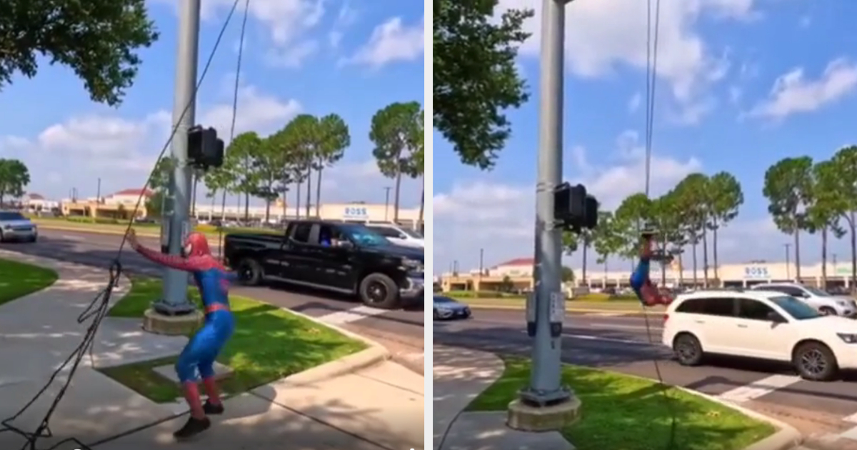 Individual dressed as Spider-Man performing on a street pole with vehicles in the background