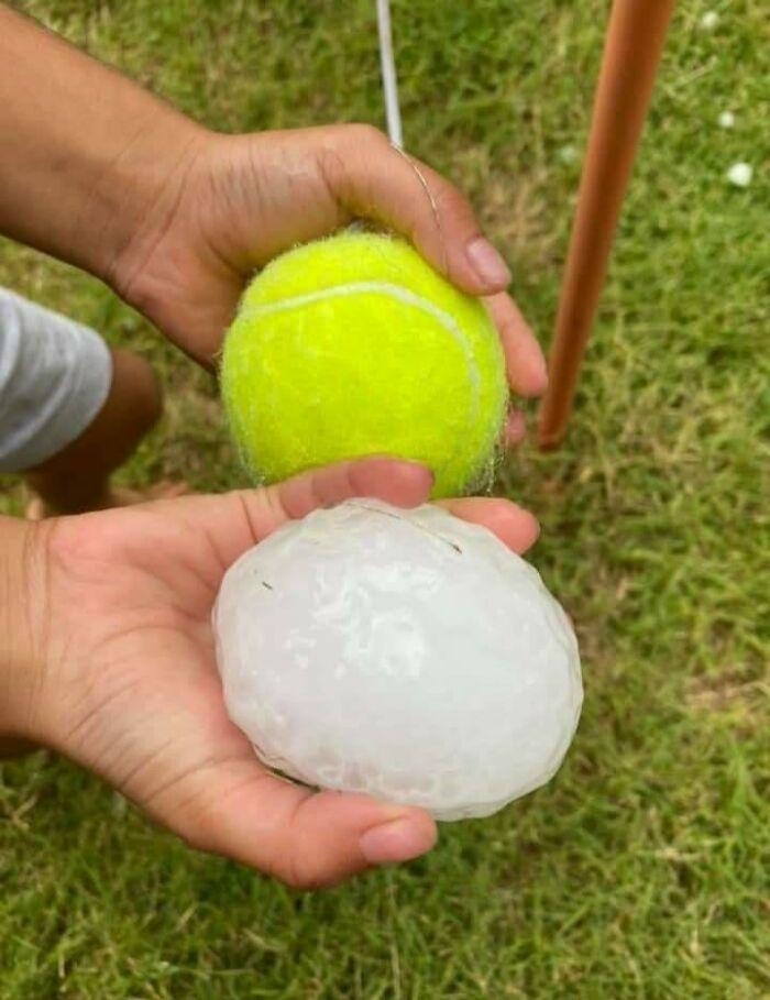 Hand holding a tennis ball next to a comparably sized piece of hail, showing the large size of the hailstone