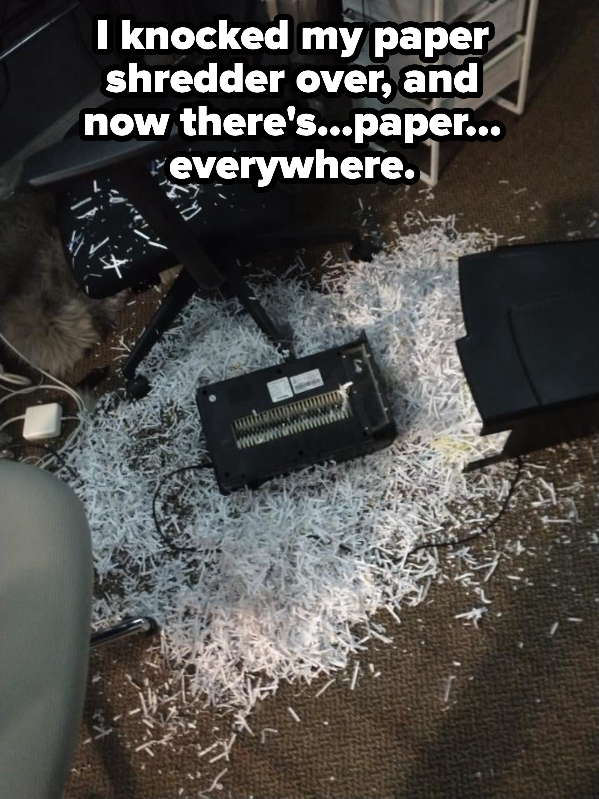 A shredded paper mess on the floor with an overturned shredder and a glimpse of a pet cat
