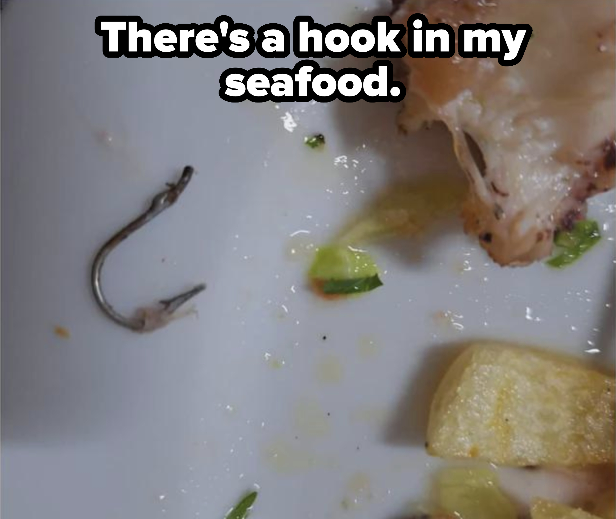 A small hook alongside pieces of fish on a white plate