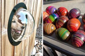 dog face in fence bubble and beautifully decorated easter eggs