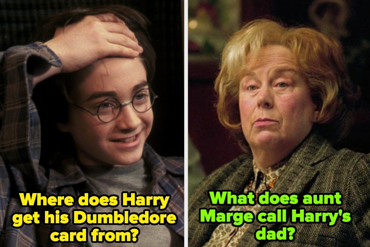 Side-by-side stills of Harry Potter and Aunt Marge with captions posing questions about film plot points