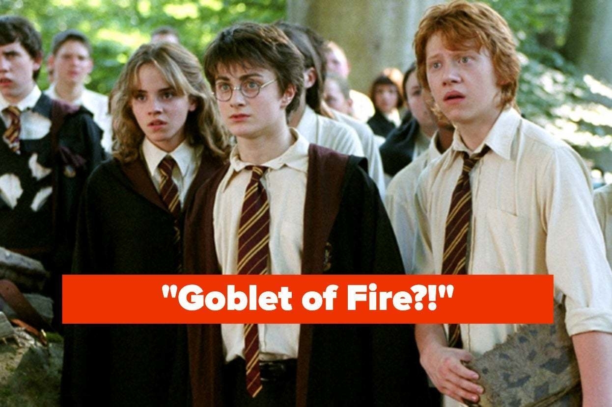 Hermione, Harry, and Ron from Harry Potter appear alarmed; caption reads &quot;Goblet of Fire?!&quot;