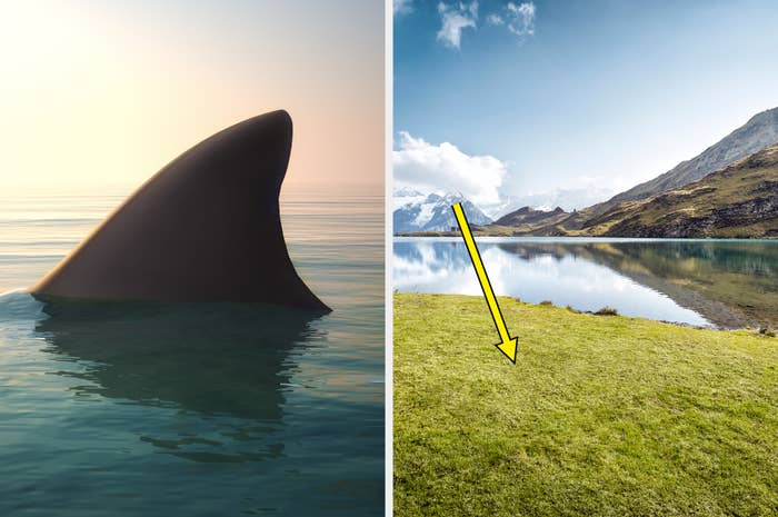 Shark fin above water on left side, scenic mountain landscape with lake on the right, merge illusion