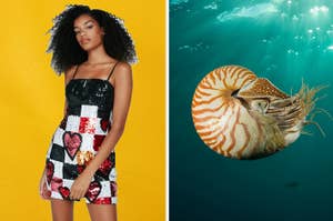 Left: Model in sequined heart-patterned dress poses. Right: Nautilus shell swimming under water