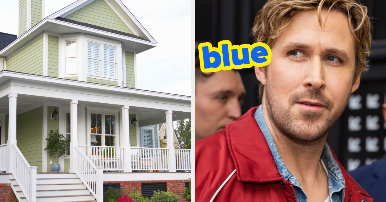 Build House Guess Eye Color Quiz