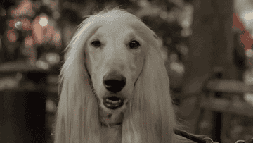 Person with long, straight hair and a dark top sitting at a table, with a surprised expression