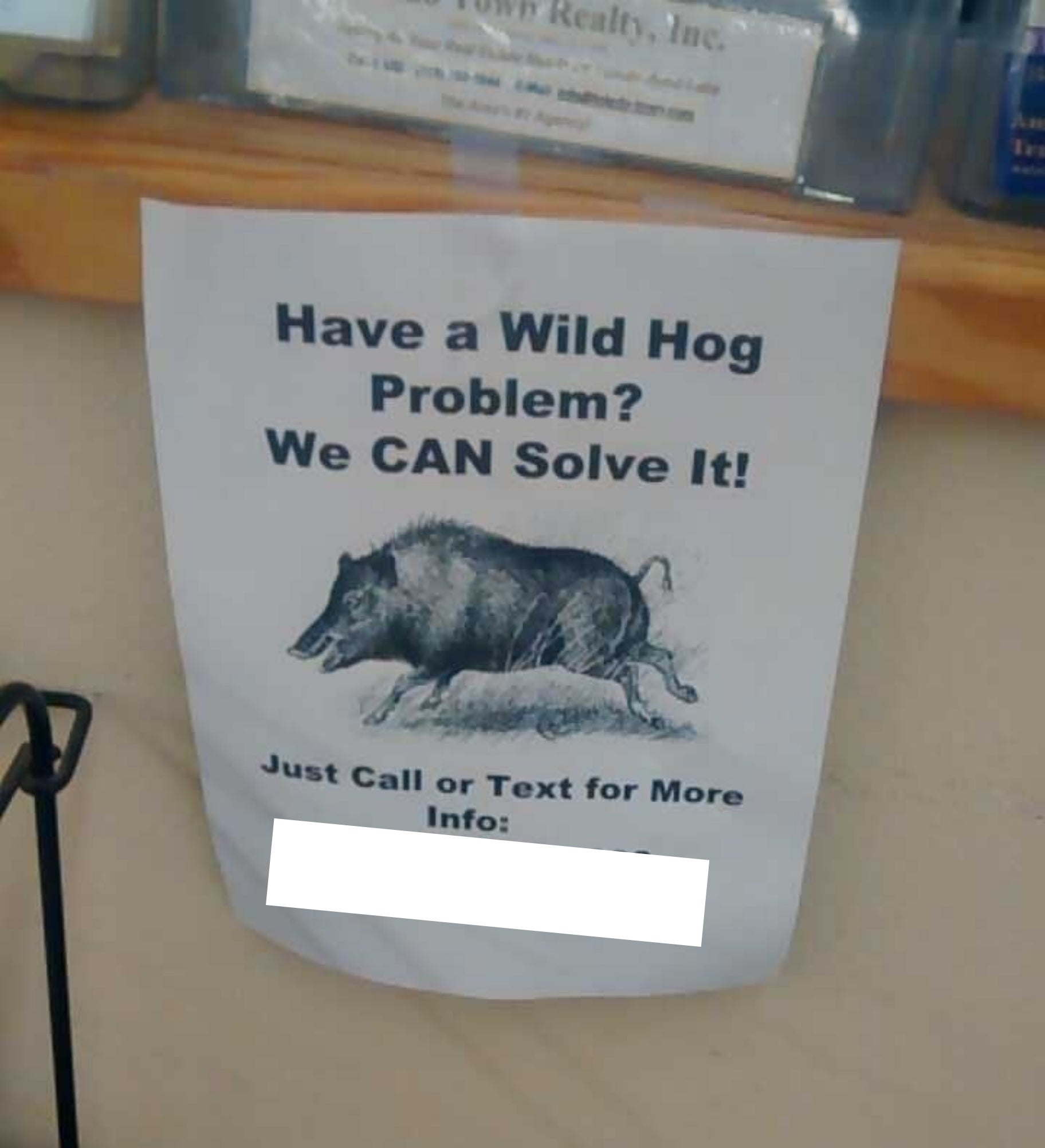 Flyer offering wild hog problem solutions with contact number