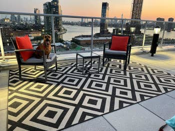 A dog sits on a chair on a balcony with a geometric-patterned rug, overlooking a city skyline during sunset