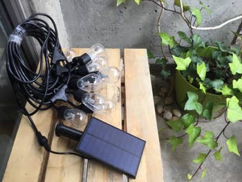 Solar panel with string lights on a wooden table next to a plant