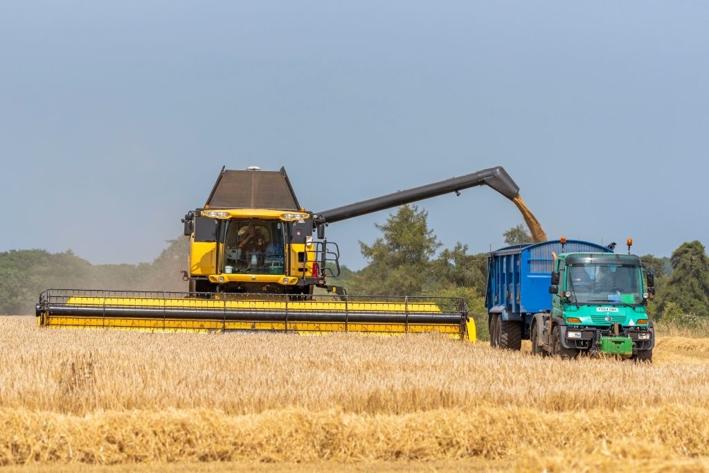 Combine harvester transferring wheat to a truck in a field