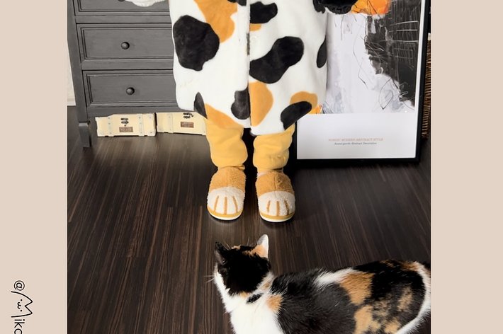牛柄の衣装を着ている人と猫がいる部屋の写真です。