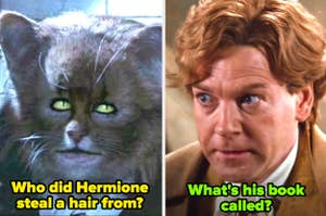 Side-by-side frames: Left, cat Hermione from Harry Potter. Right, Kenneth Branagh as Gilderoy Lockhart with text questions