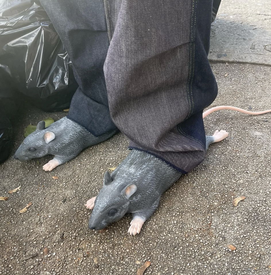 Person wearing slippers shaped like realistic rodents on pavement