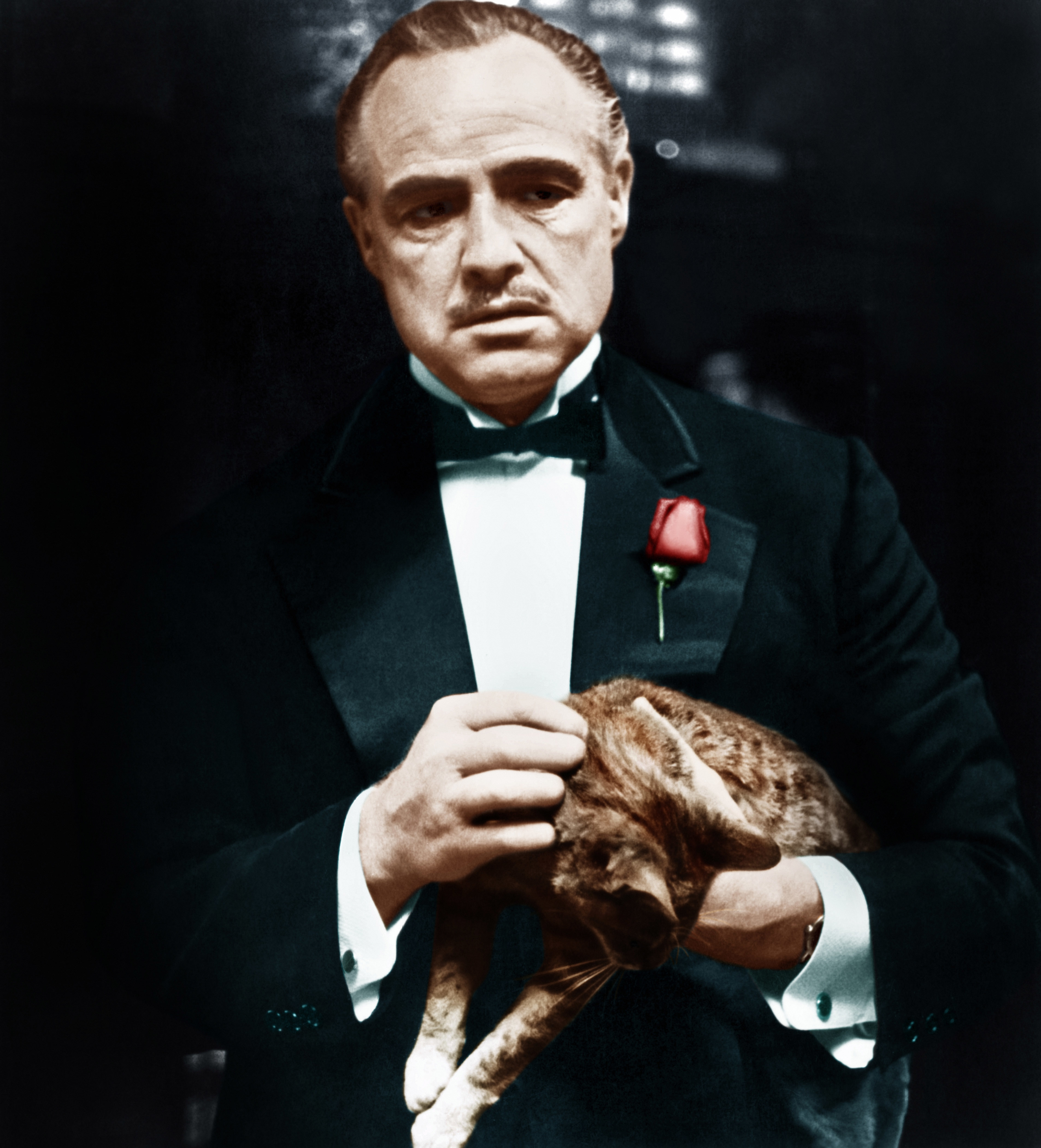 Marlon Brando as Vito Corleone in a tux with a rose, holding a cat, from &#x27;The Godfather&#x27;