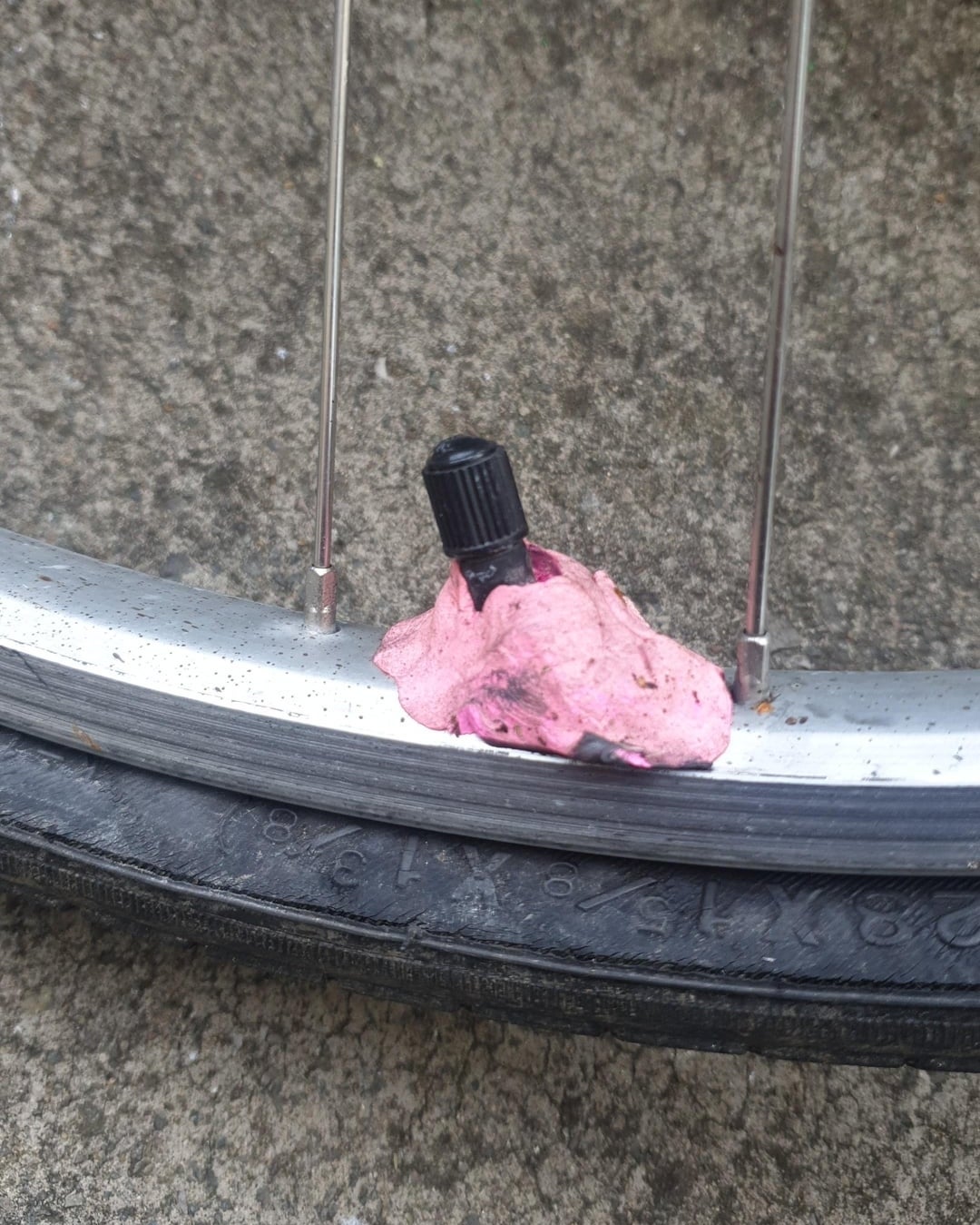 Bicycle tire with punctured pink bubble gum stuck on its valve
