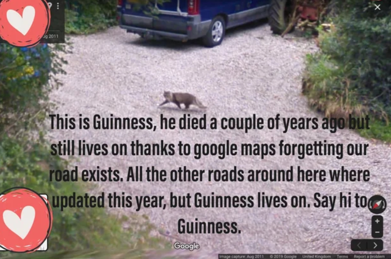 Image of a Google Maps street view with a cat on the road and a memorial text for the cat named Guinness
