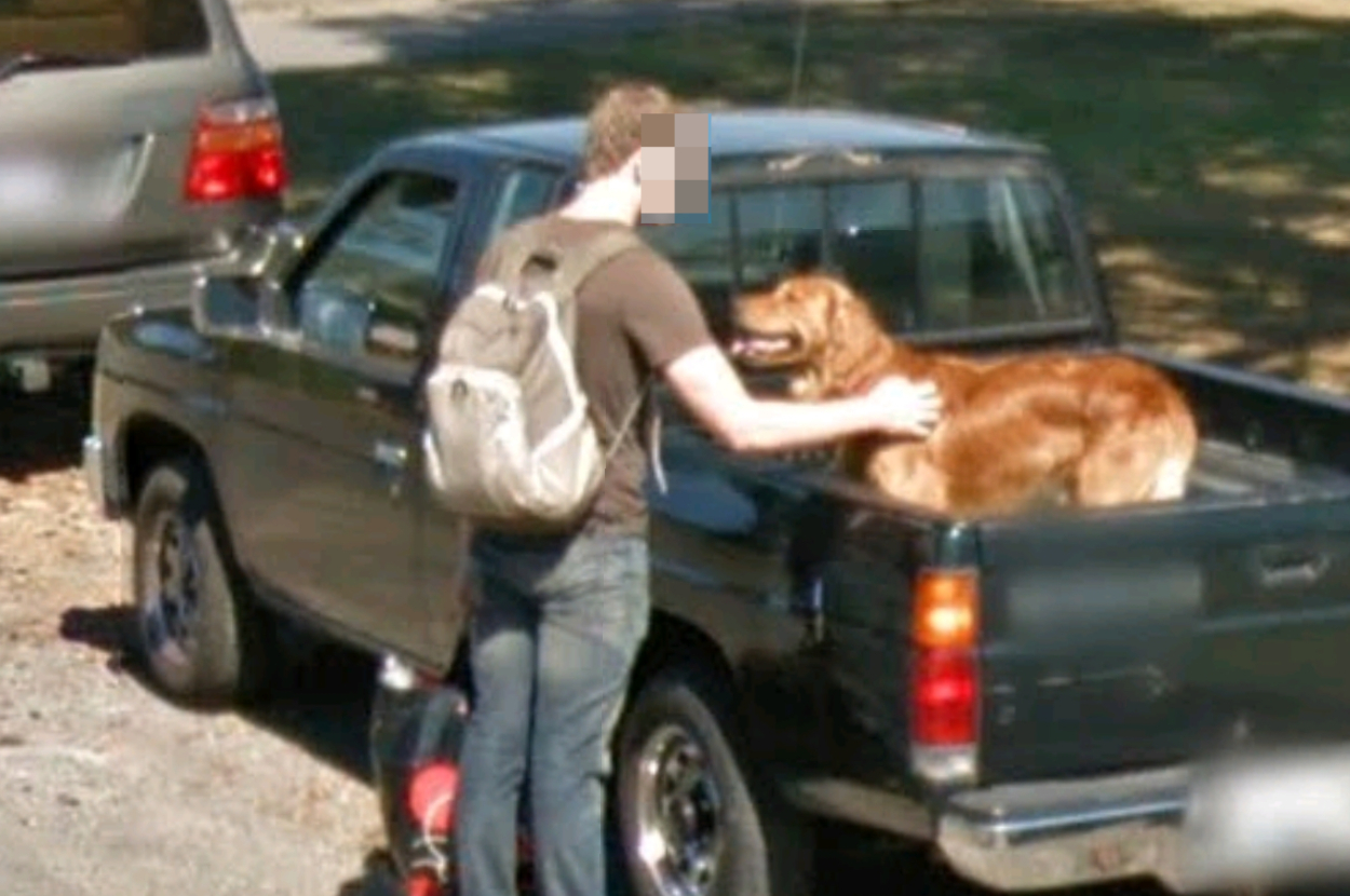 Man petting a dog in the back of a parked pickup truck