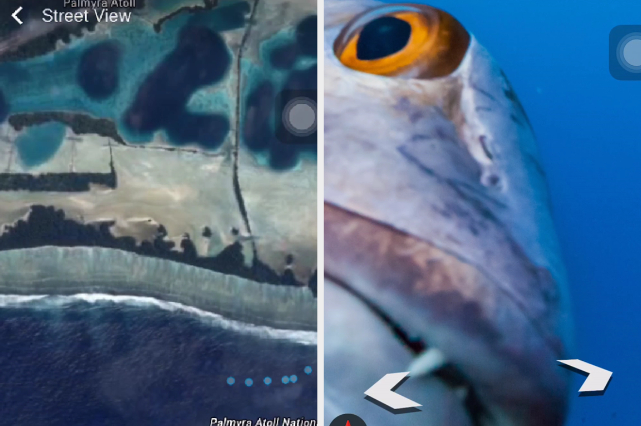 Split image with a map view on the left and a close-up of a fish eye on the right