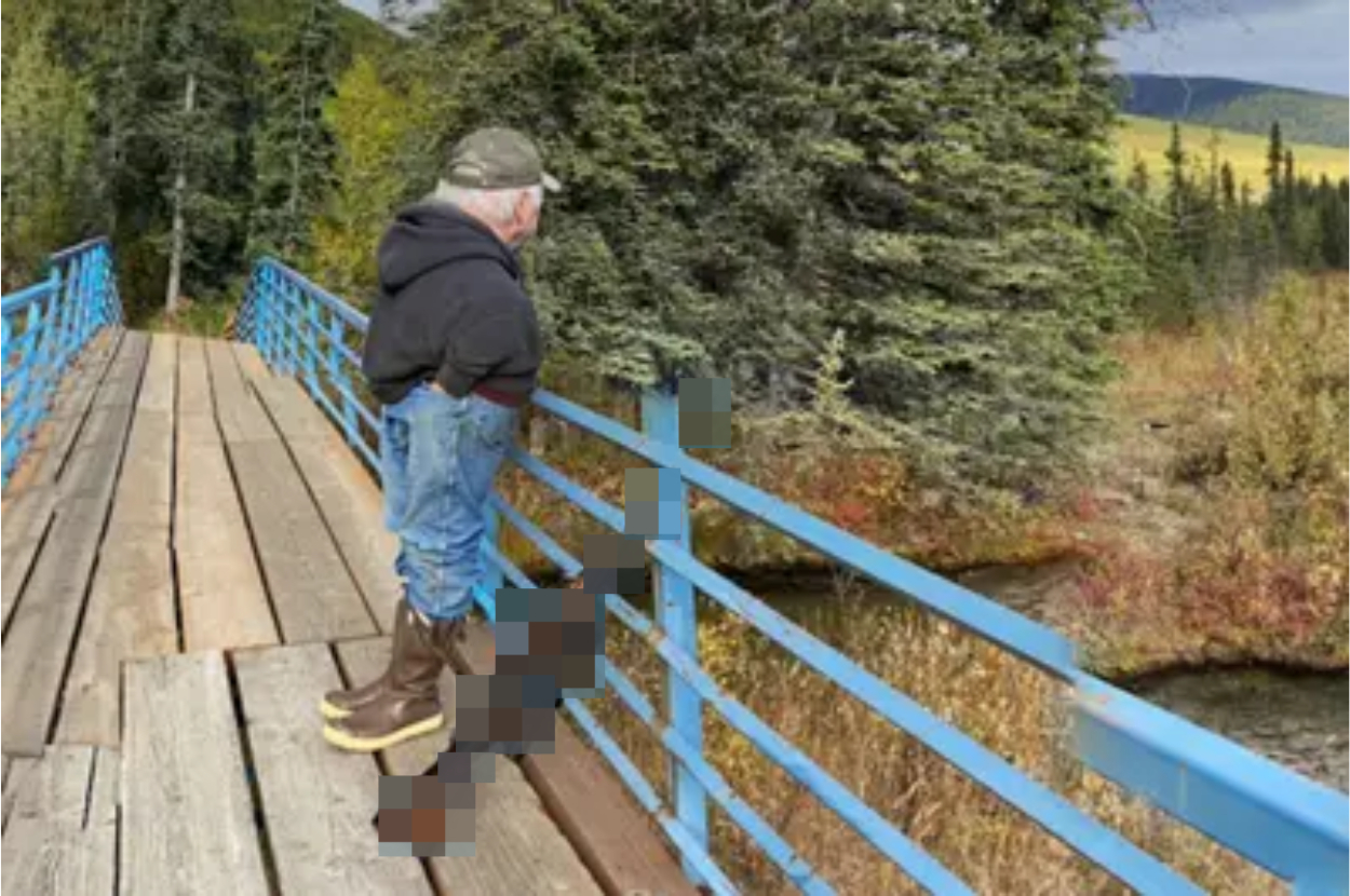 Person standing on a bridge looking at nature, with their face and body obscured for privacy