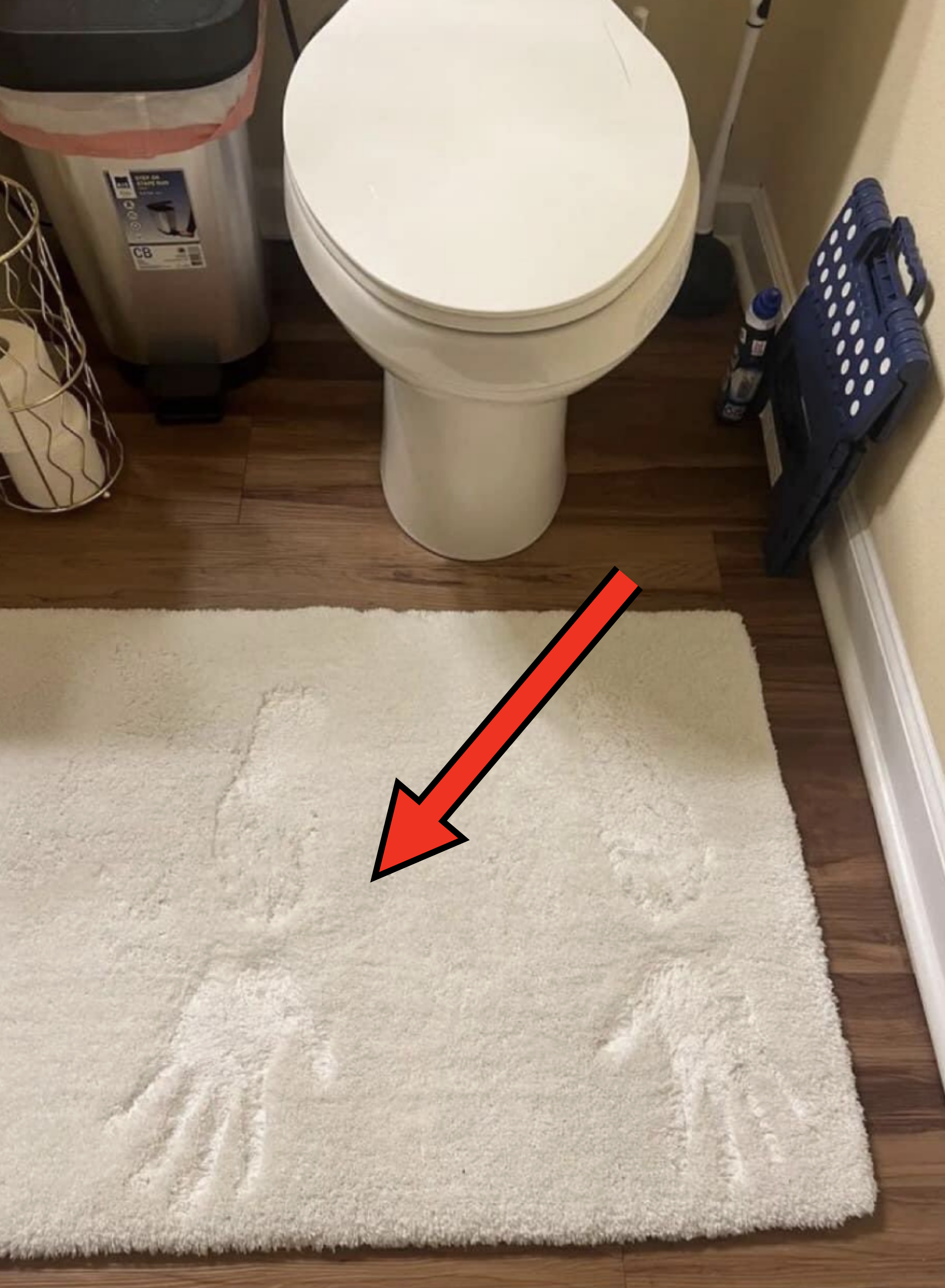 Bathroom mat with imprinted cat-like shape, positioned in front of a toilet, near a waste bin and plunger