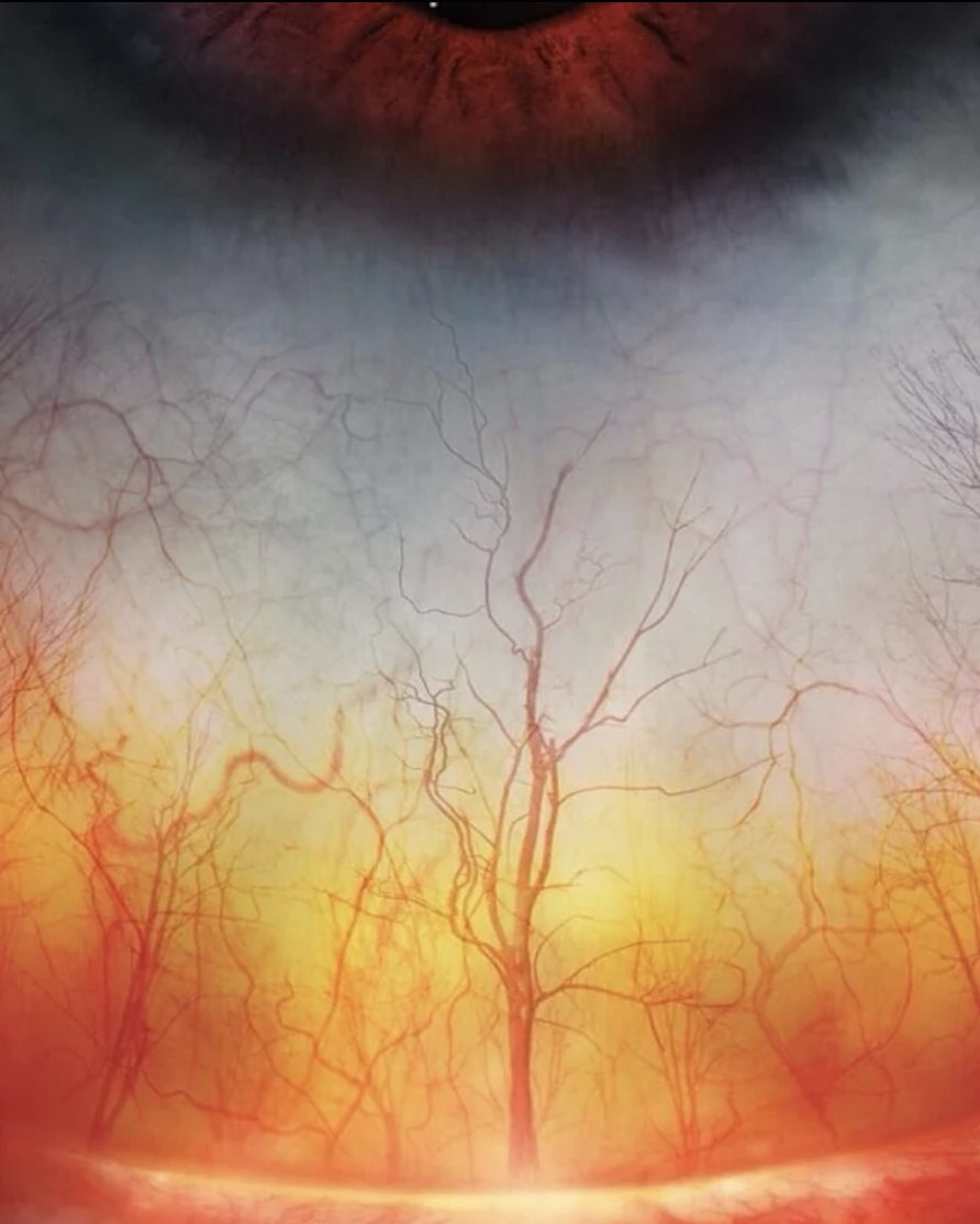 A close-up of a human eye with veins resembling a forest of leafless trees