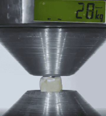 A hydraulic press compressing a tooth with a displayed force of 600 kg