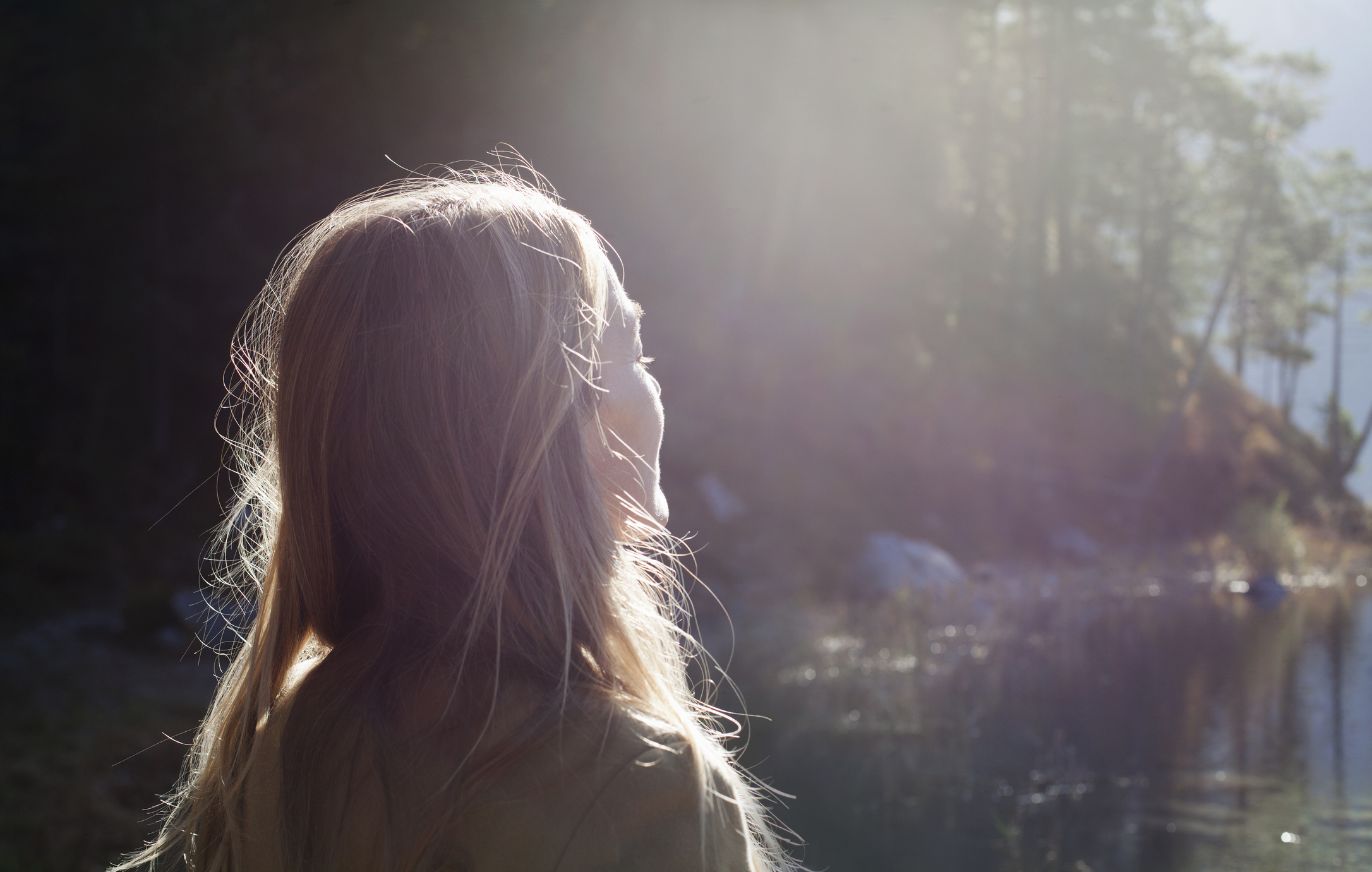 Person facing away looking towards a sunlit natural scene, hair visible