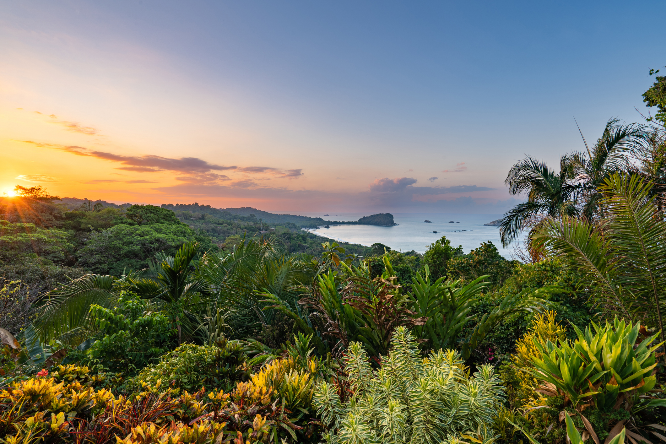Tropical landscape with dense foliage and ocean view at sunrise