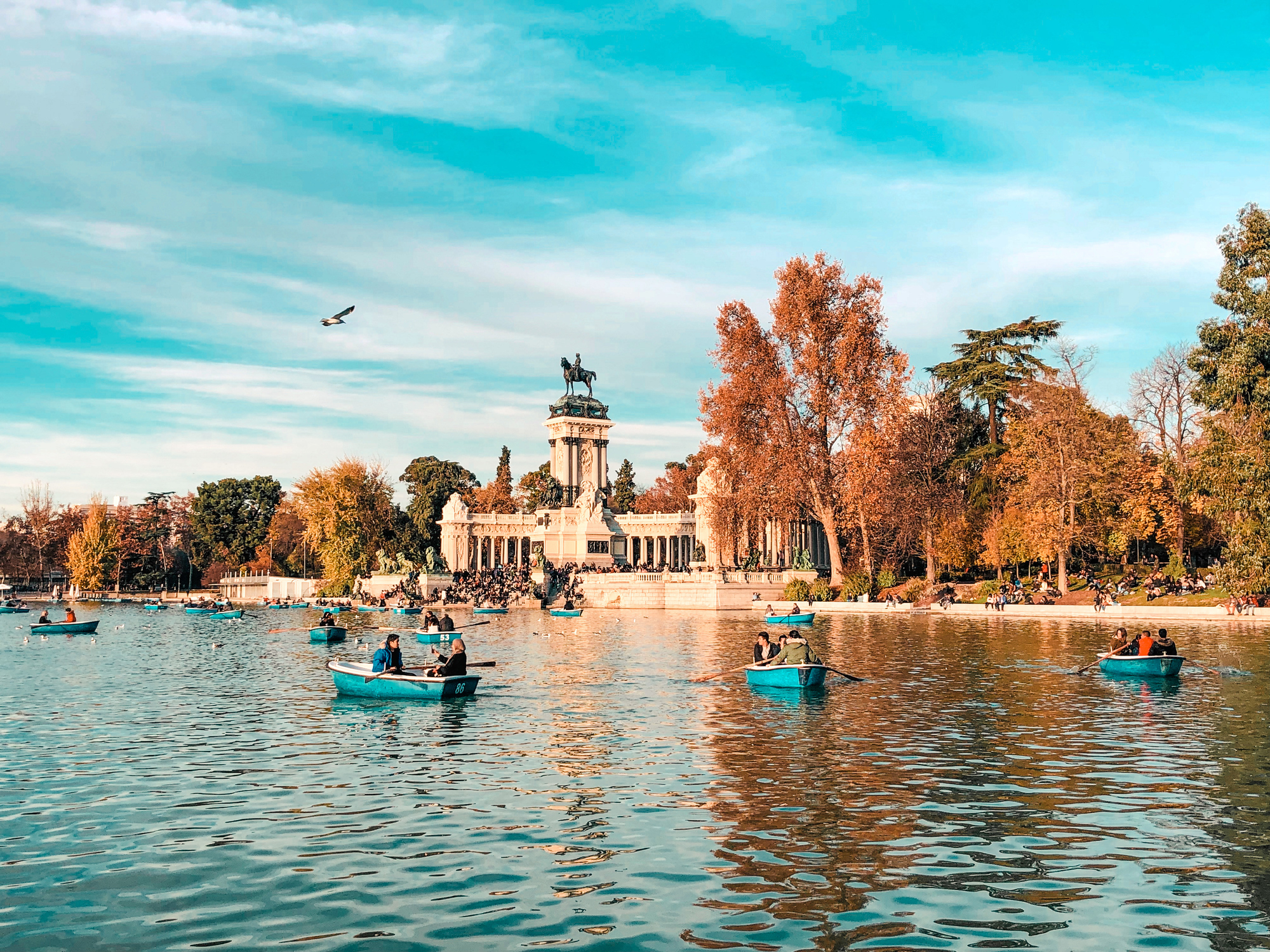 People rowing boats on a park lake with a monument in the background. Bird flying overhead
