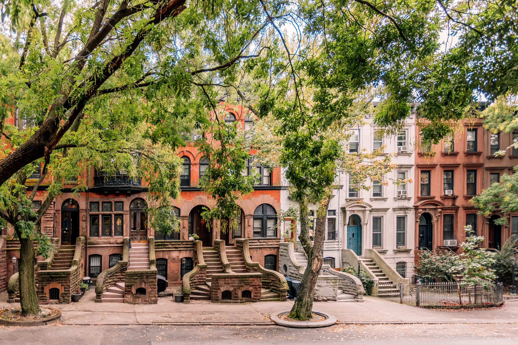 Row of brownstone stairs leading to townhouses with trees in front