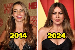Split image of Sofia Vergara at events in 2014 and 2024, smiling, dressed in formal attire