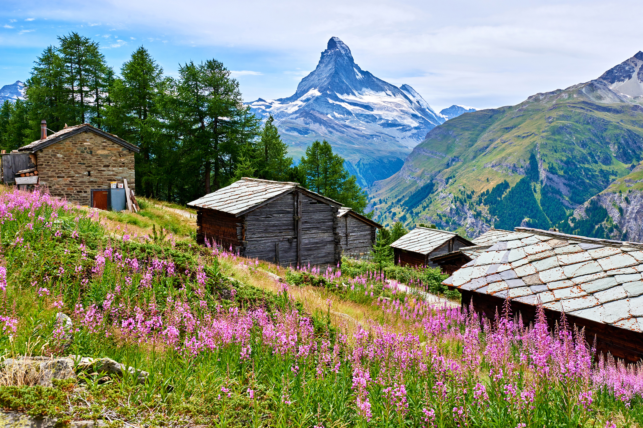Alpine scenery with Matterhorn peak in the background and traditional wooden chalets surrounded by wildflowers