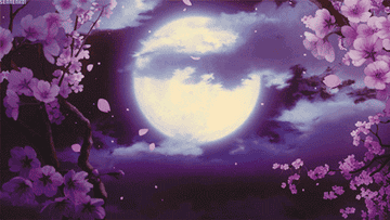 Imagen animada con una luna llena y flores rosas de cerezo en la noche