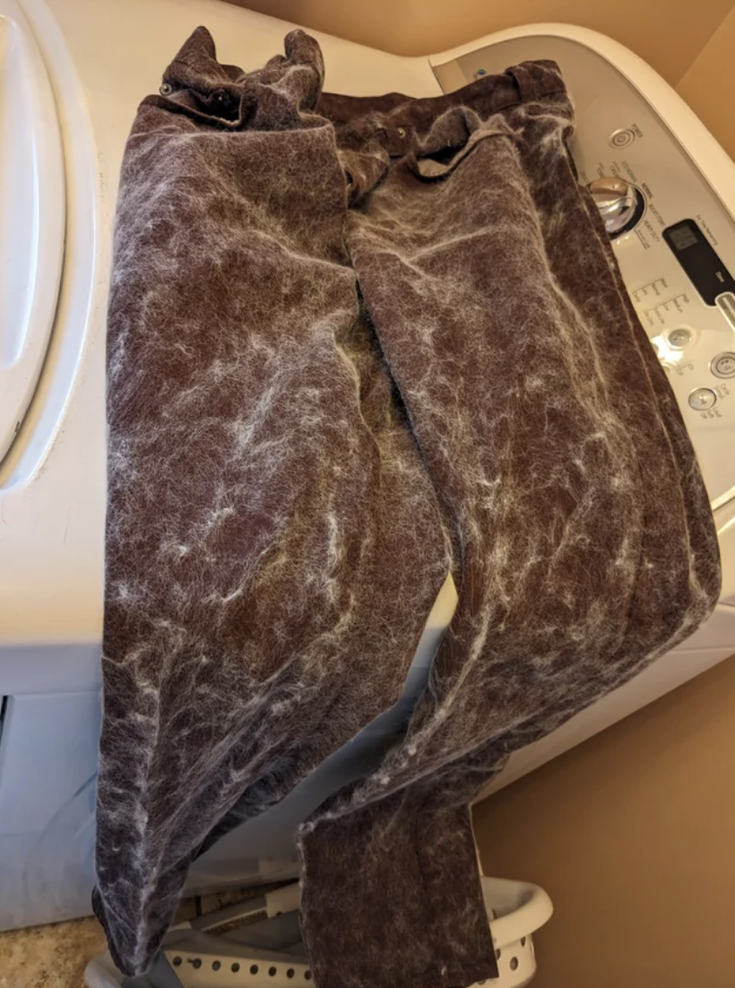 Pants covered in pet hair on top of a washing machine