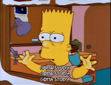Bart Simpson is pressed against a window from inside, hands up, with text "GOTTA STUDY. GOTTA STUDY. GOTTA STUDY."