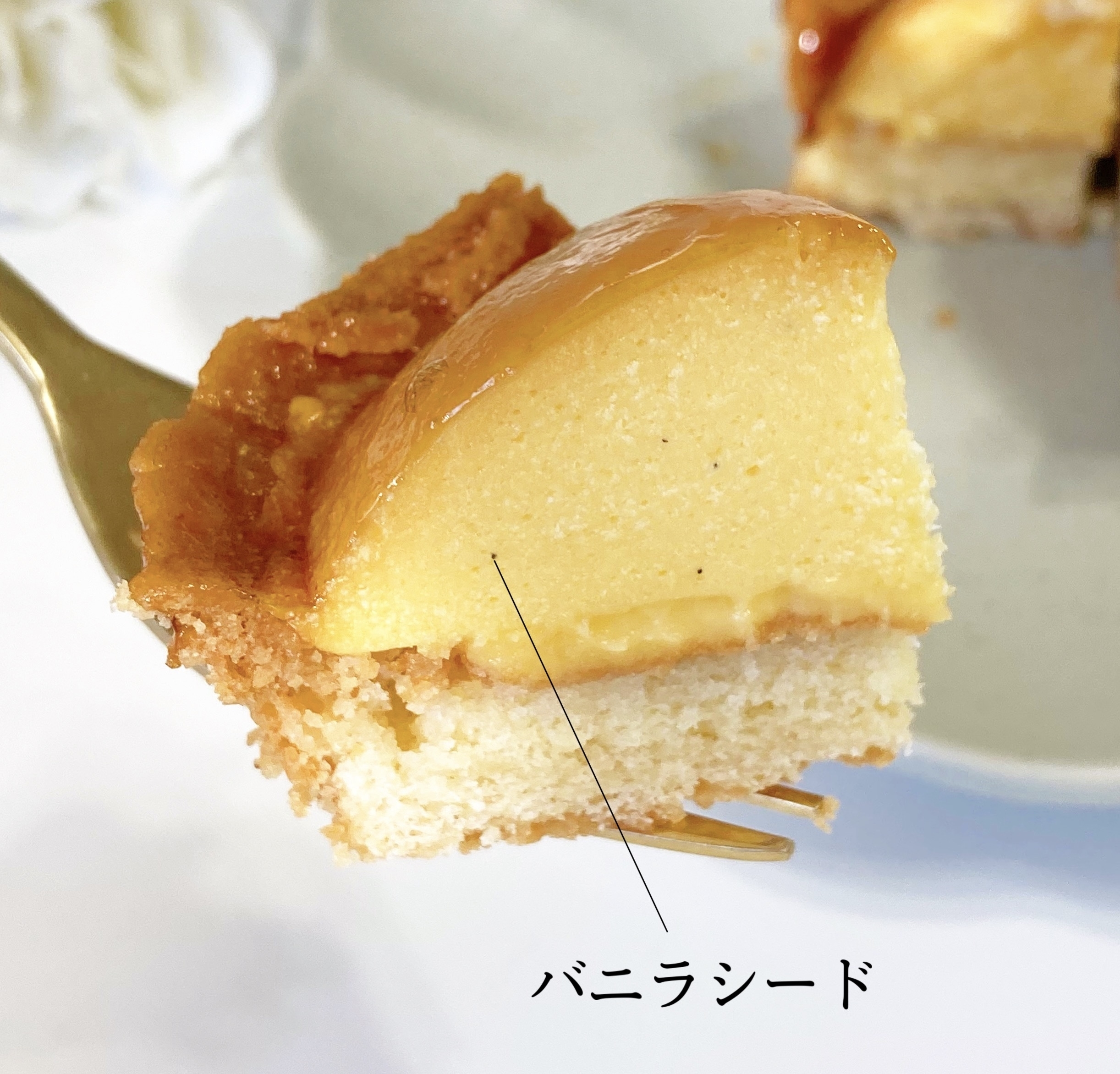 FamilyMart(ファミリーマート)のおすすめスイーツ「プリンタルト」