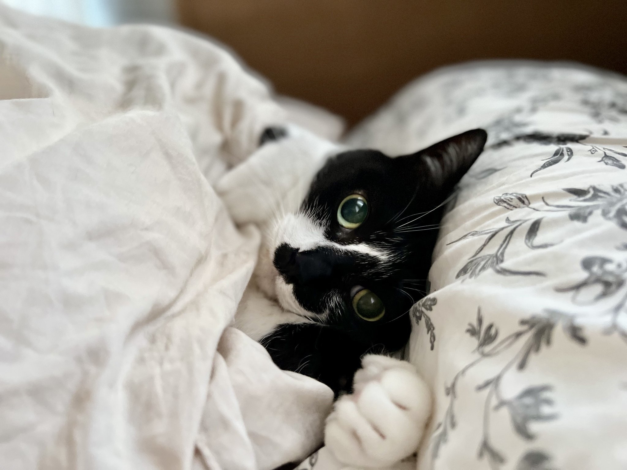 リュックくんの写真の中で、響介さんお気に入りの1枚。