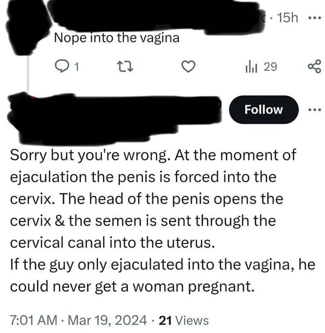 A comment claiming that the head of the penis goes through the cervix during intercourse and sends the semen into the uterus — otherwise women would never get pregnant