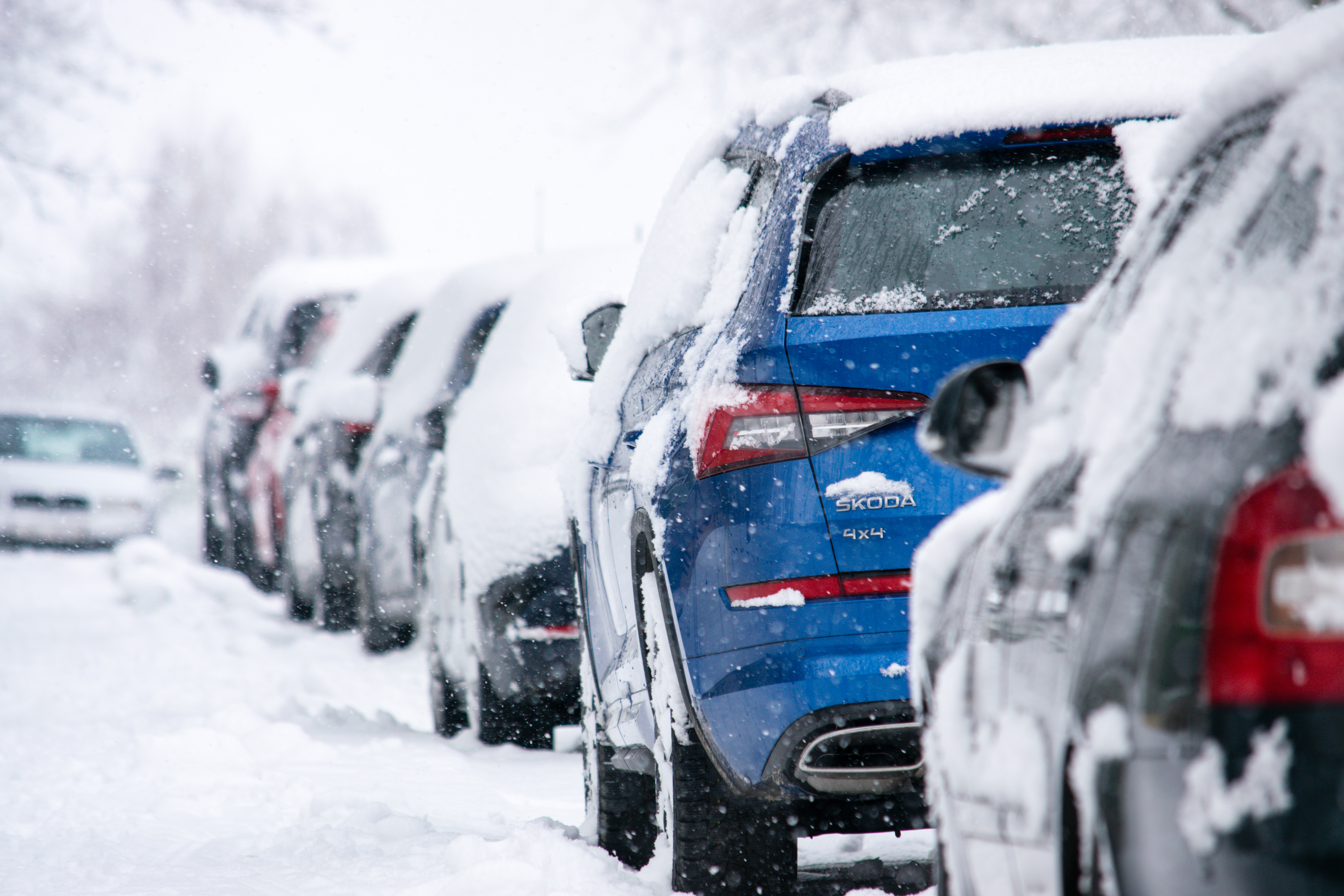 Cars parked in a row, covered in snow, highlighting winter conditions