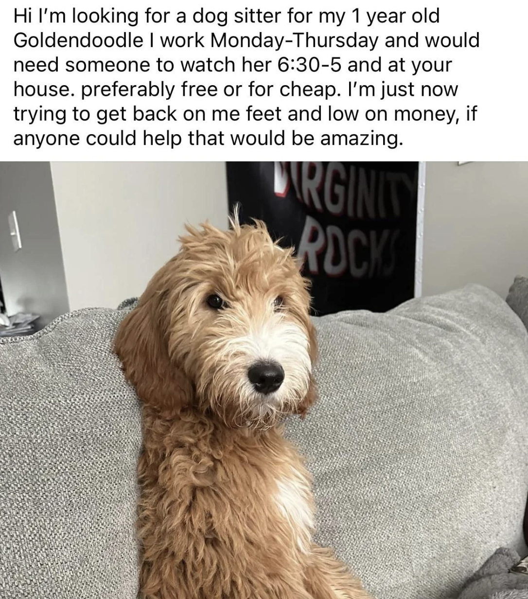Person seeking a sitter for a 1-year-old goldendoodle, Monday–Thursday from 6:30 to 5, at the sitter&#x27;s house, preferably for free or cheap