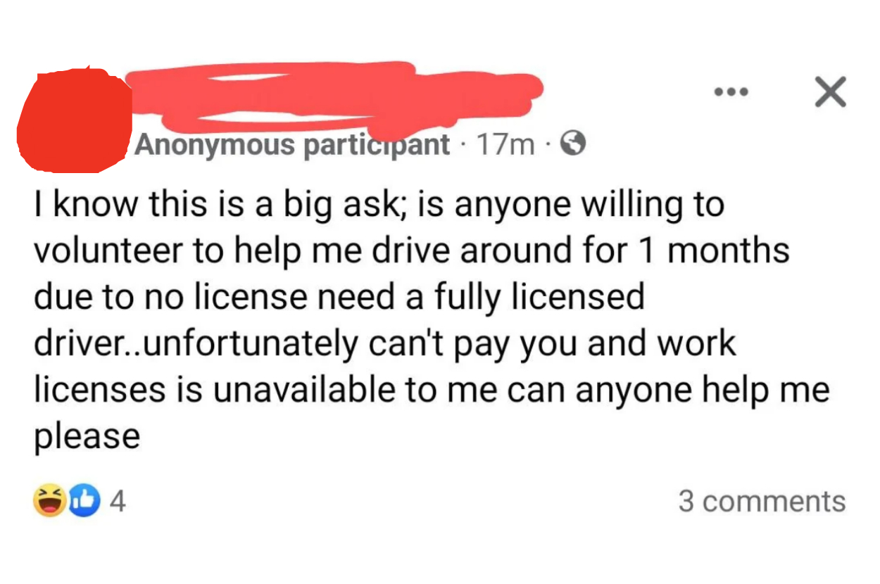 Request for a monthlong free &quot;volunteer&quot; chauffeur, noting inability to pay or obtain a work license, with laugh emoji reactions
