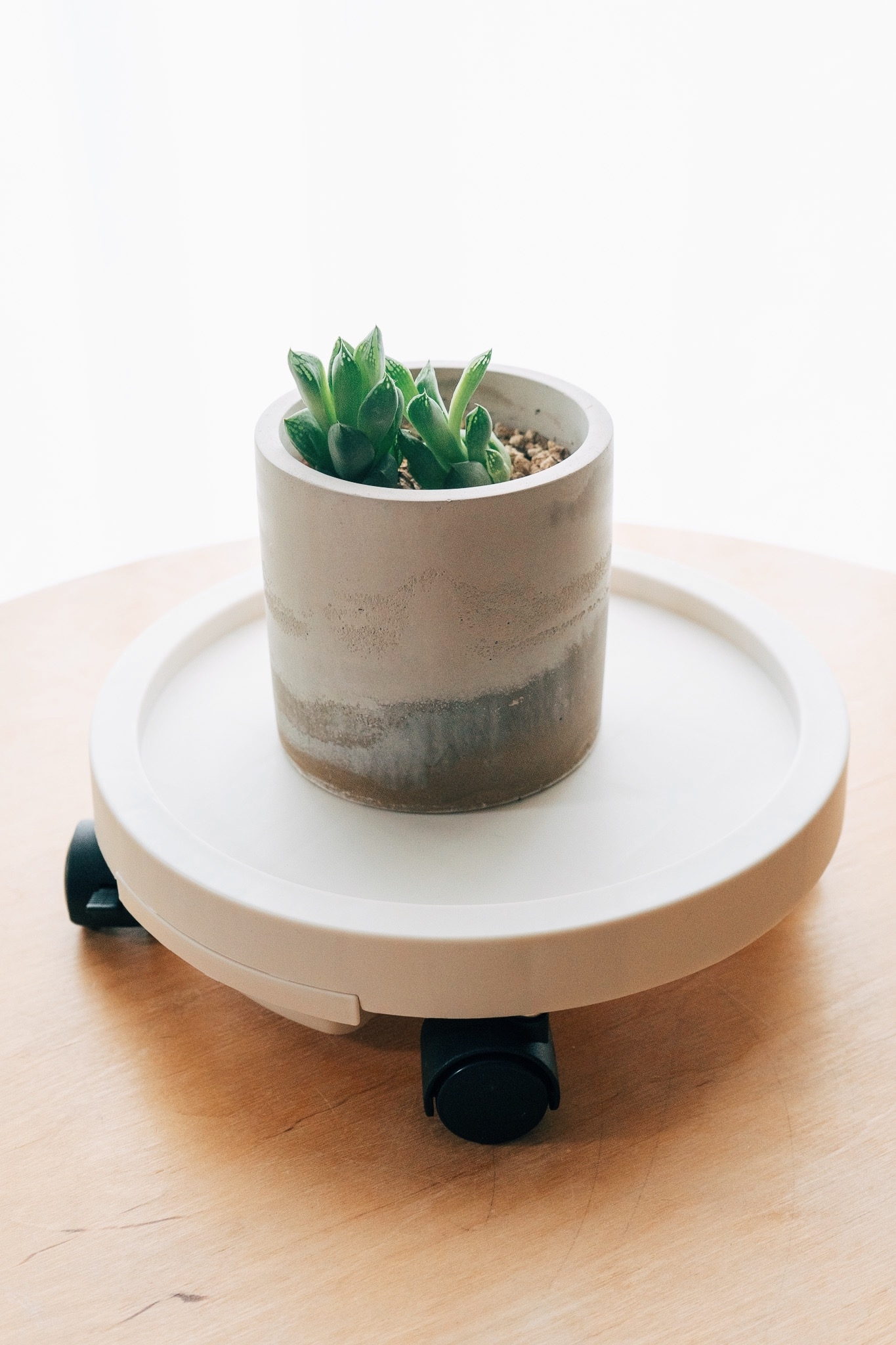 3COINS(スリーコインズ)の便利グッズ「キャスター付きトレー/Interior Green」