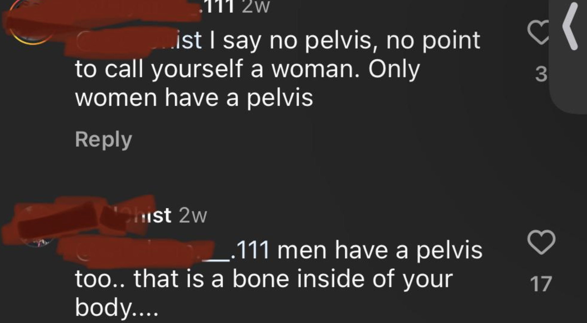 Two social media comments discussing anatomy; one person corrects another&#x27;s misconception about the pelvis